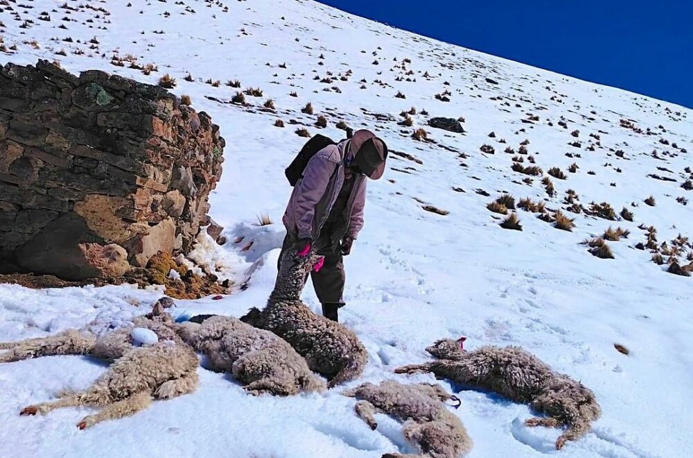 Más de 121.000 familias afectadas por condiciones climáticas adversas en Bolivia