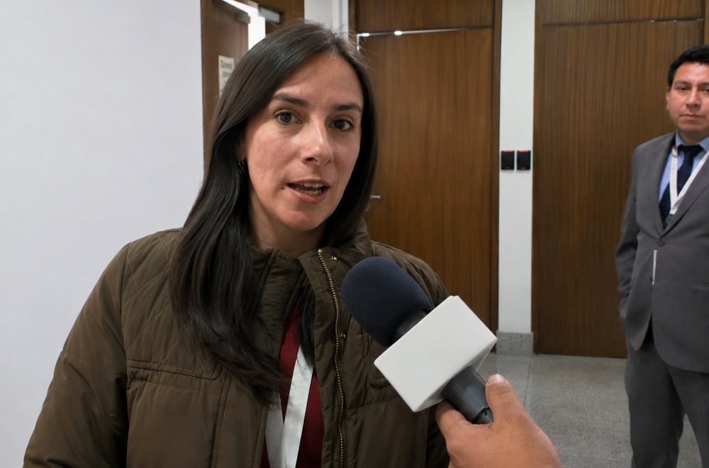 Ballivián critica a Sokol por no priorizar la captura de Evo Morales