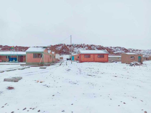 Regreso de nevadas y frío en Potosí genera preocupación entre ganaderos