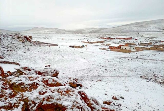 Nevadas afectan a 123 comunidades en Potosí y causan la muerte de animales