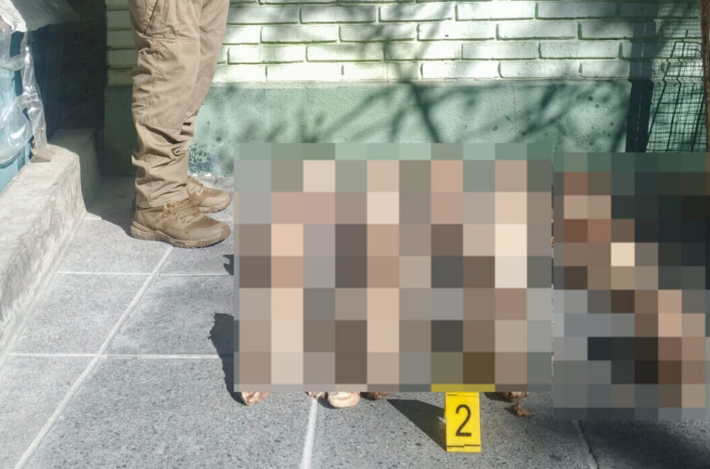 La Policía investiga el hallazgo de 25 cráneos de perros en un basurero de La Paz