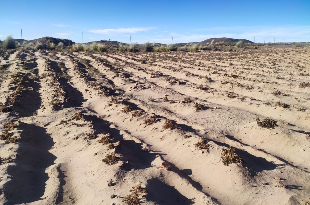Gobierno prevé la entrega de más de 95.000 títulos agrarios en el corto plazo
