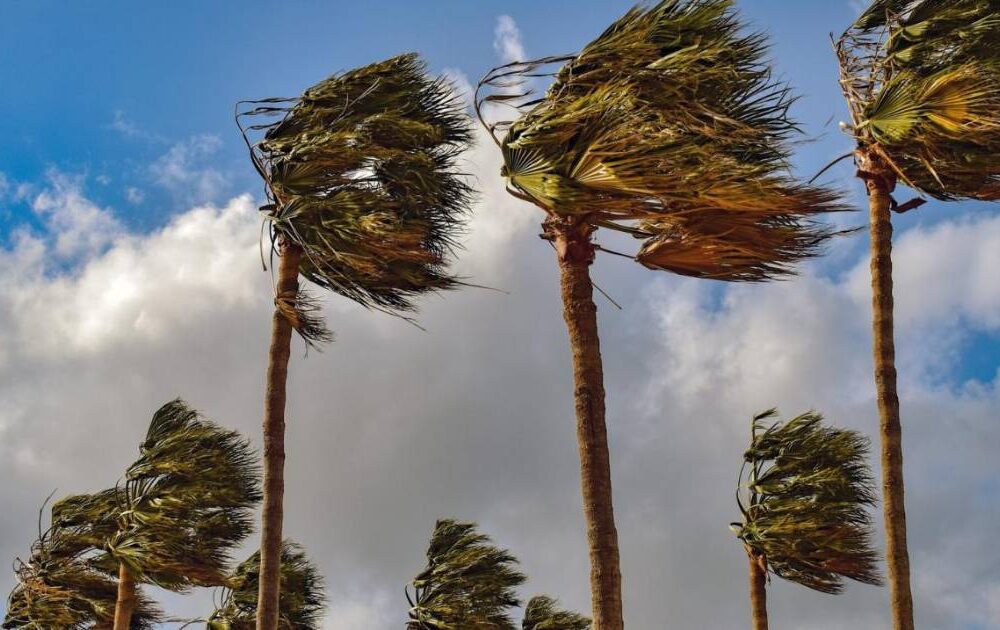 Alerta Naranja por Vientos Fuertes y Posibles Nevadas en Varias Regiones del País