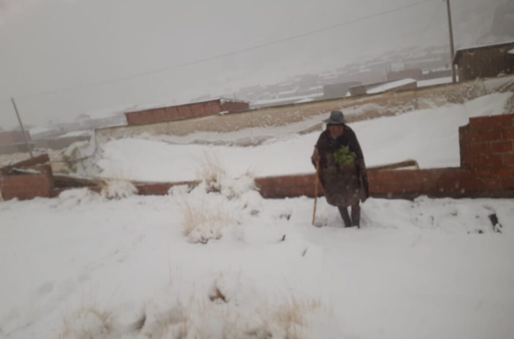 Gobierno implementa medidas para asistir a familias afectadas por nevadas en Potosí