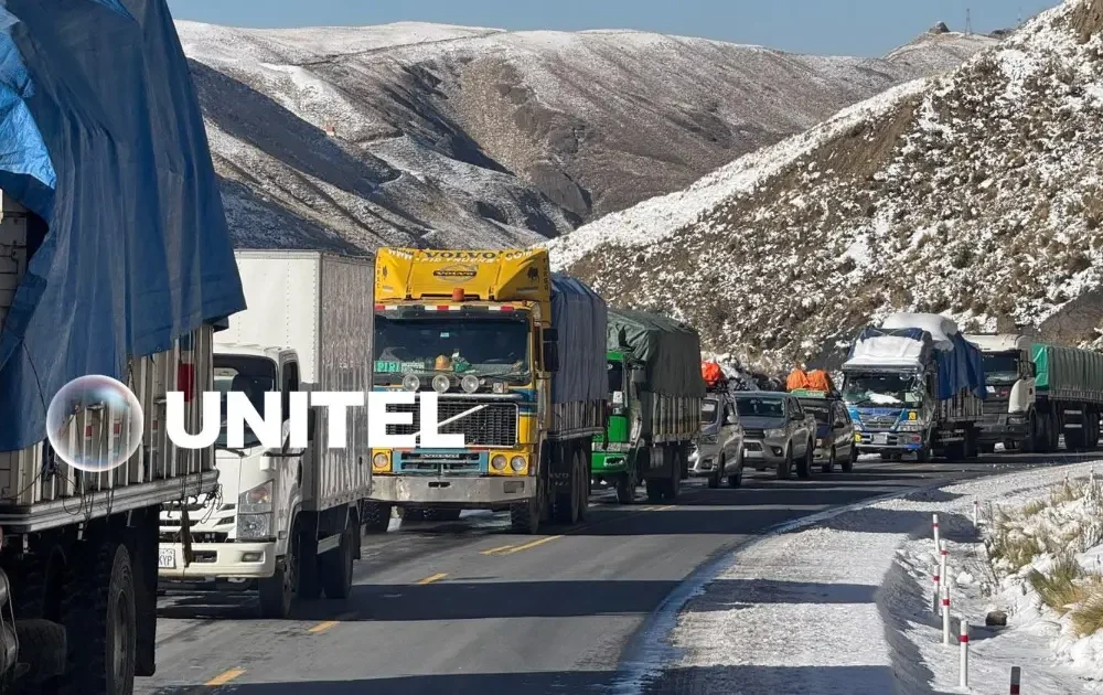 Más de 26.000 familias afectadas por nevadas en Bolivia