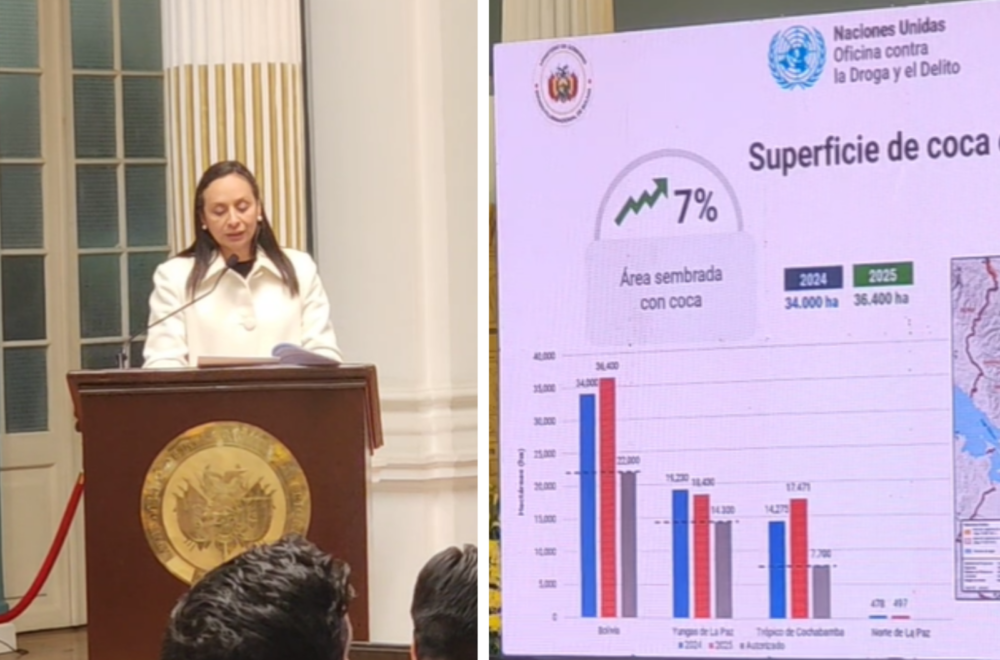 Incremento alarmante de cultivos de coca en Bolivia según la UNODC