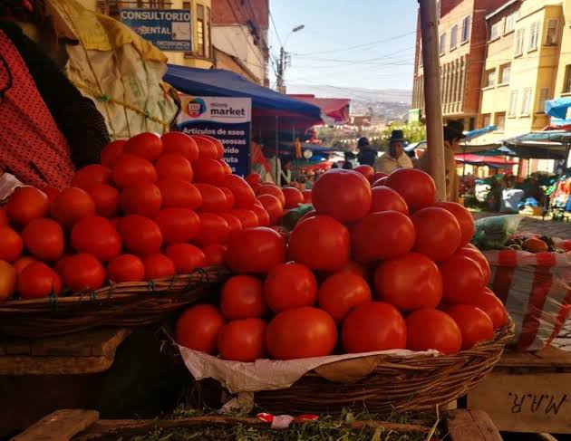 Preocupante hallazgo: hasta 30 plaguicidas en tomates bolivianos