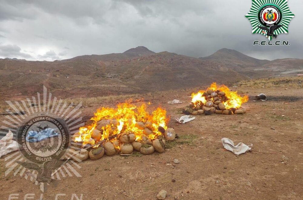 Operativos de la Felcn destruyen drogas en Potosí, La Paz y Pando