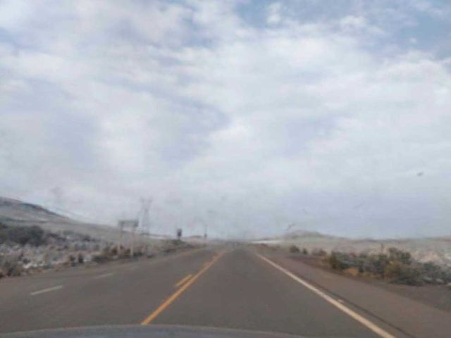 Nevadas impactan a seis municipios en el sudoeste de Potosí