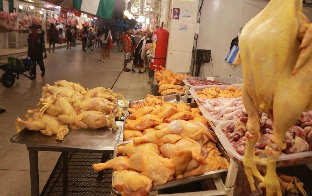 Avicultores contemplan aumentar el precio del pollo a Bs 15 tras eliminación de subsidio al diésel