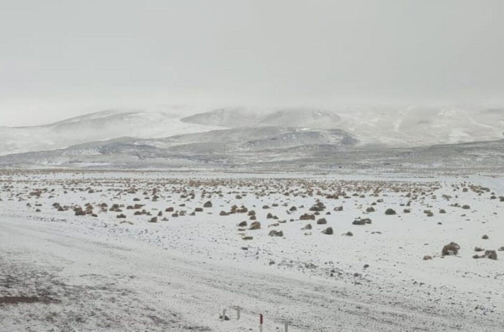 Suspensión de visitas y evacuación en la Reserva Eduardo Avaroa por nevadas