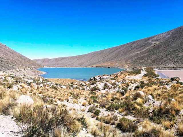Potosí evalúa declarar emergencia por sequía