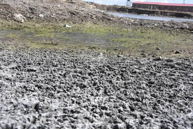 El Niño podría causar 451.000 muertes relacionadas con el calor hasta febrero