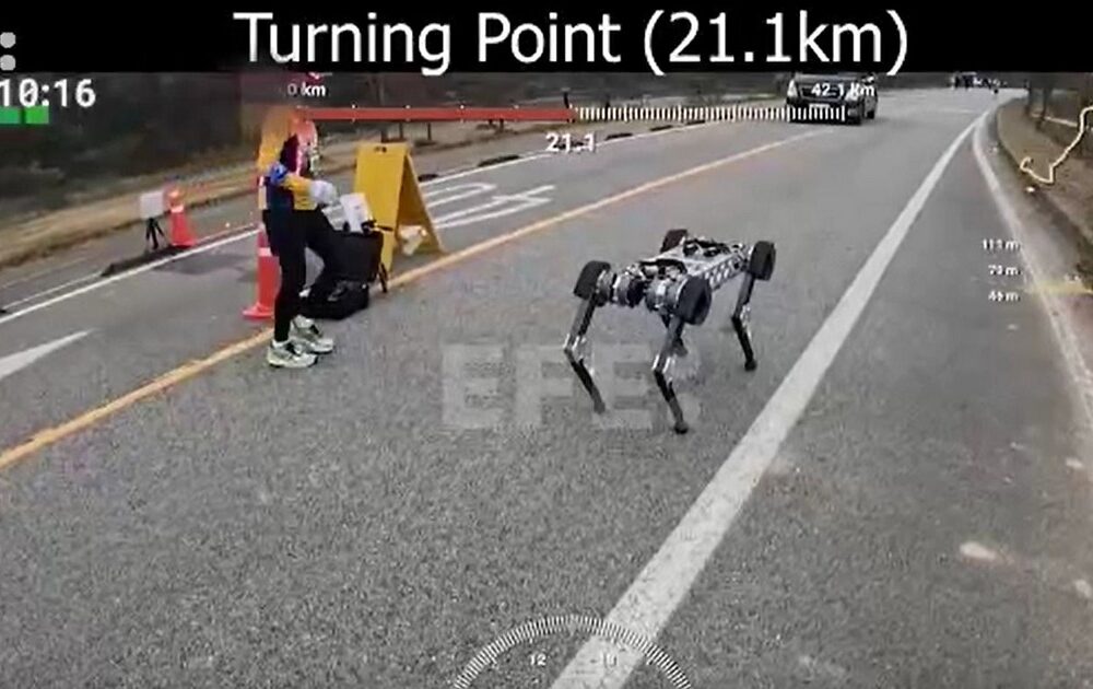 RAIBO 2: Un avance en robótica que corre maratones