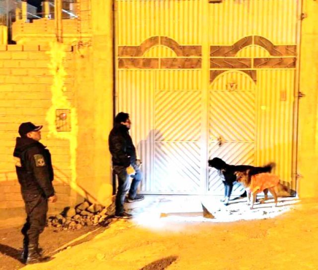 Multas a 15 infractores por maltrato animal en Potosí