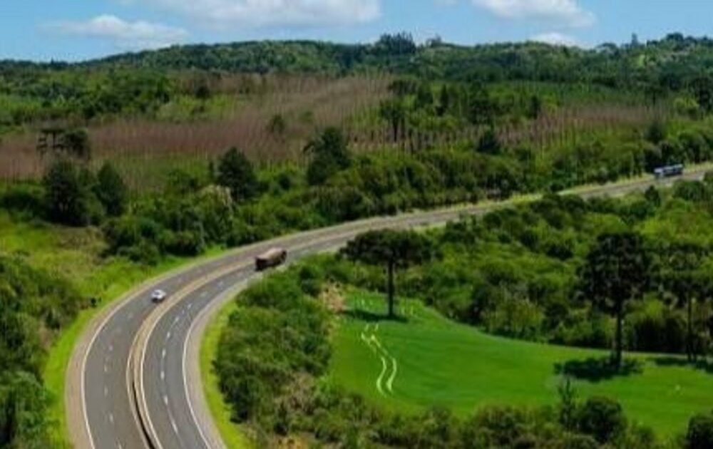 Brasil establece áreas protegidas en la Amazonía ante la controversia de la carretera BR-319