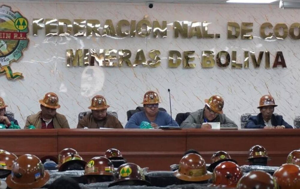 Cooperativistas mineros exigen la anulación del decreto del diésel y piden la renuncia de ministros