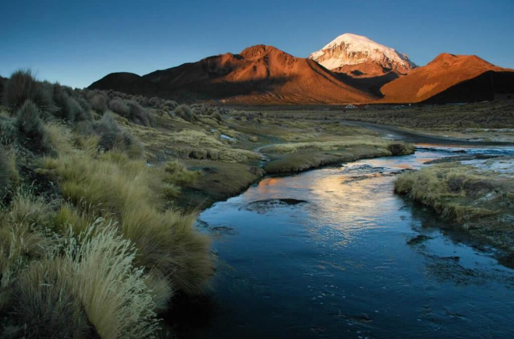 Impacto del cambio climático en la primavera orureña
