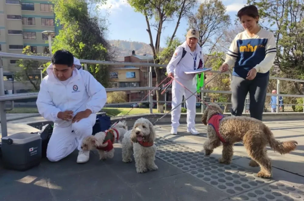 Inicia la Campaña Nacional de Vacunación Antirrábica para Mascotas