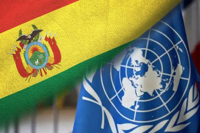 Bolivia bajo la lupa de la ONU por el crimen organizado