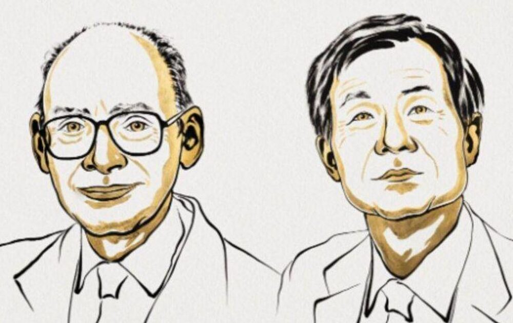Premio Nobel de Química 2023: Kagan y Soai desentrañan el misterio de la homochiralidad
