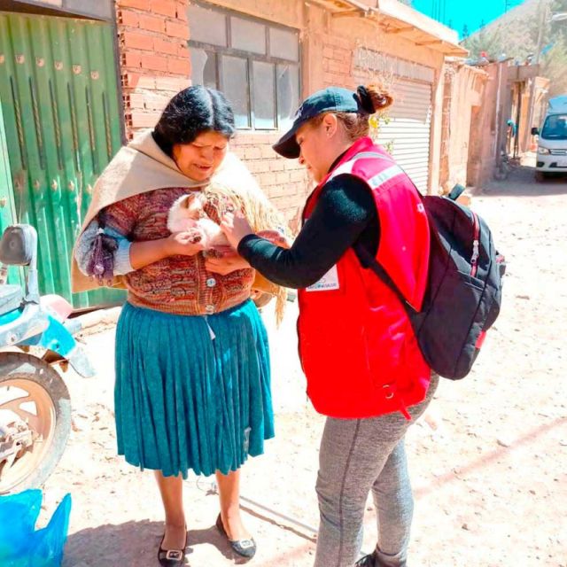 Campaña de Vacunación Antirrábica en Potosí Busca Proteger a 70.000 Perros