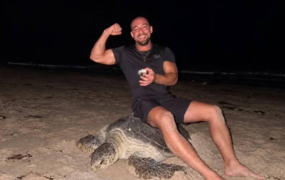 Indignación por influencer que se fotografía sobre tortuga en Omán