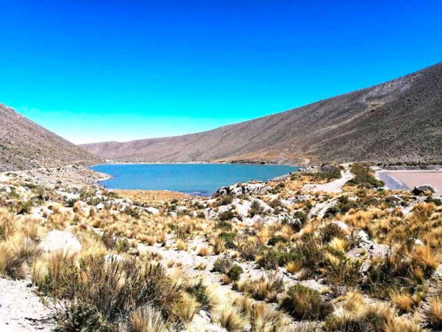 Lagunas del sistema Kari Kari solo tienen un 32% de agua almacenada